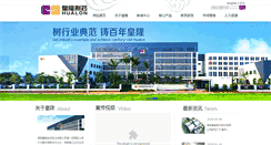 Desktop Screenshot of hnhuanglong.com